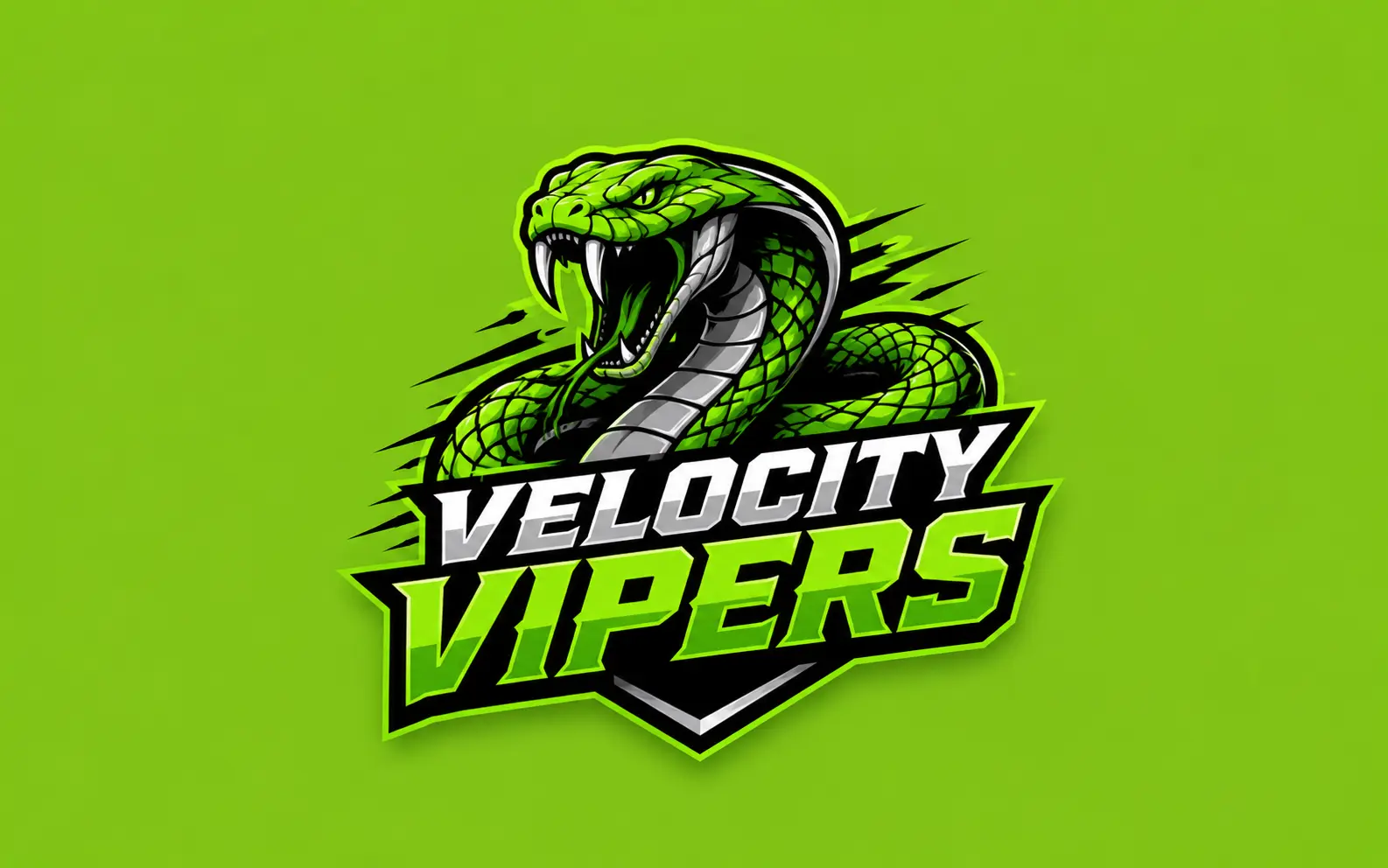 Velocity Vipers team design